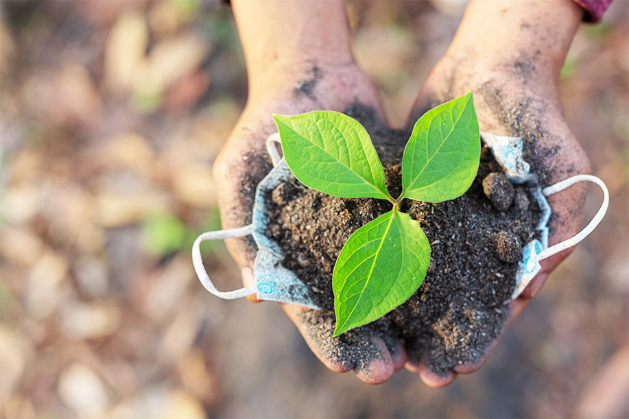 agrisoil