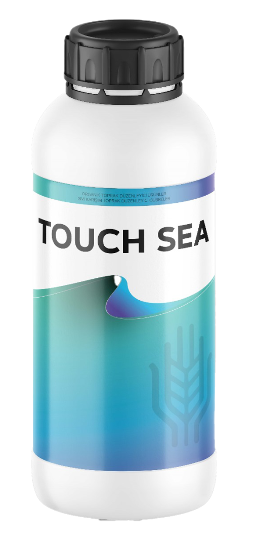 touchsea1 touchsea1